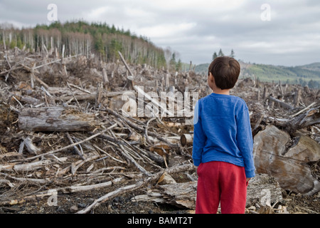 Jeune garçon regardant la forêt coupée claire Banque D'Images