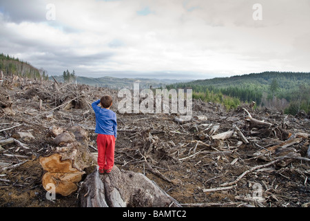 Jeune garçon regardant la forêt coupée claire Banque D'Images