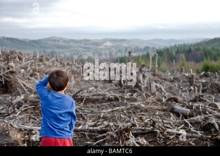 Jeune garçon regardant la forêt coupée claire Banque D'Images