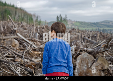 Jeune garçon regardant la forêt coupée claire Banque D'Images