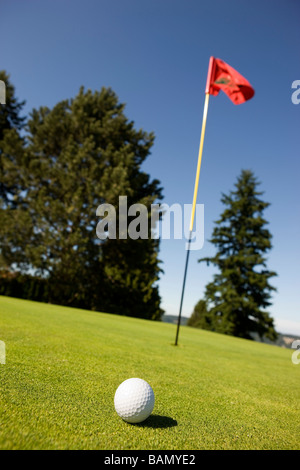 Balle de golf sur le green Banque D'Images