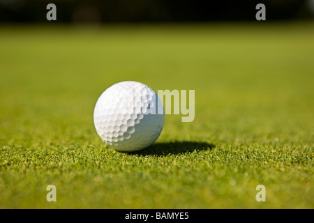 Balle de golf sur le green Banque D'Images