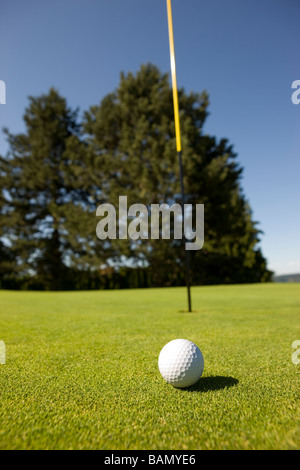 Balle de golf sur le green Banque D'Images