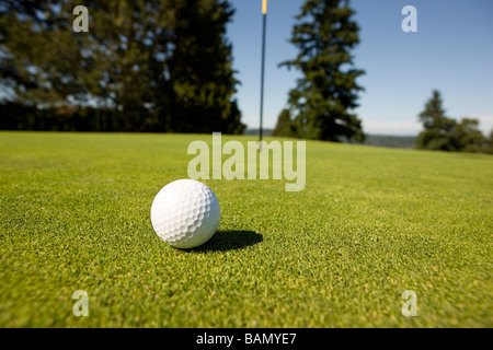 Balle de golf sur le green Banque D'Images