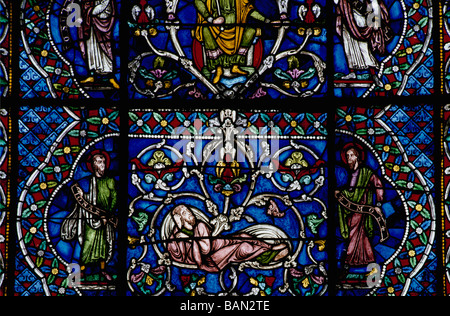 Vitrail de la Cathédrale de Canterbury (début 13thc corona) panneau à partir de l'arbre de Jessé Banque D'Images