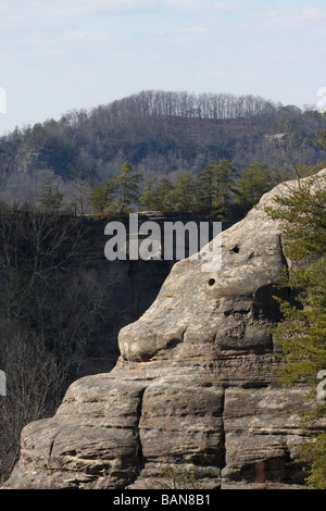 Red River gorge arc double Daniel Boone national forest florida Banque D'Images