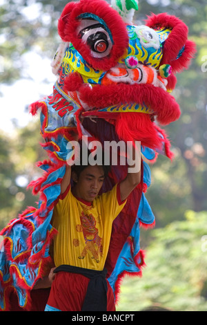 Danse du dragon vietnamien pendant les célébrations du Nouvel An lunaire du Têt à Ho Chi Minh City Vietnam Banque D'Images