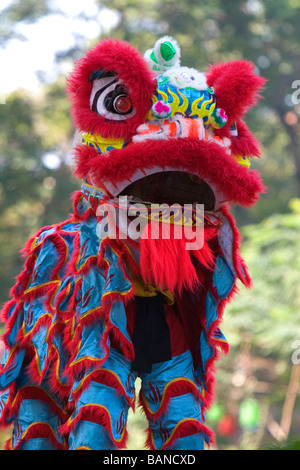 Danse du dragon vietnamien pendant les célébrations du Nouvel An lunaire du Têt à Ho Chi Minh City Vietnam Banque D'Images