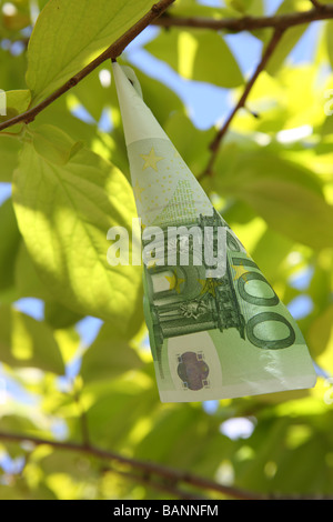 De plus en plus d'argent sur les arbres Banque D'Images