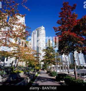 Yaletown, Vancouver, BC - Colombie-Britannique, Canada - 'False Creek Seawall" et des tours d'immeubles en copropriété Appartement, automne Banque D'Images