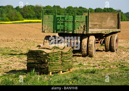 Pile de pelouse readymade sur palette à l'avant de la remorque Banque D'Images