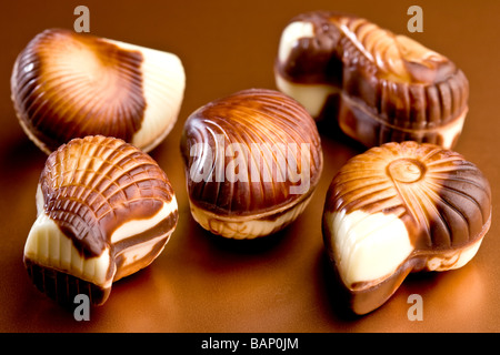 Les coquillages au chocolat belge Banque D'Images