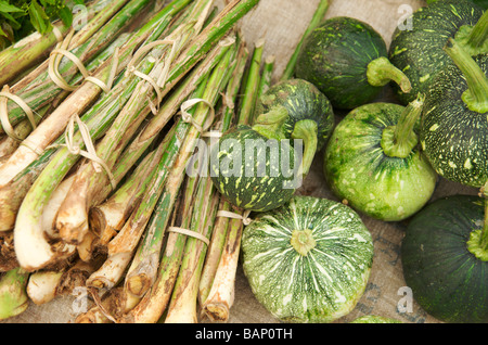 La citronnelle et les aubergines au marché de Luang Prabang au Laos Banque D'Images