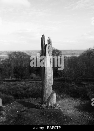 Une statue en bois sculpté dans le Lickey Hills country park Banque D'Images