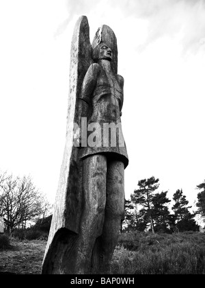 Une statue en bois sculpté dans le Lickey Hills country park Banque D'Images