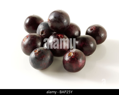 Les baies d'Acai fruit anti oxydantes. Banque D'Images