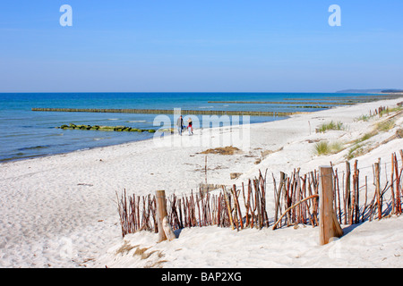 Plage, ( Gellen, Île Hiddensee Mecklenburg, Western-Pomerania Banque D'Images