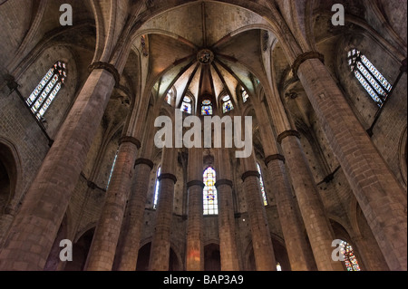 Basilique Santa Maria del Mar Plafond de la nef gothique Barcelone Catalogne Espagne Banque D'Images