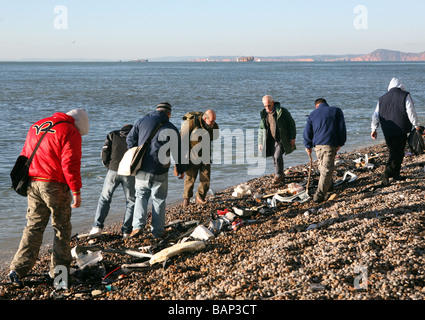 Chargement de la MSC Napoli échoués sur la plage de Branscombe, l'est du Devon Banque D'Images