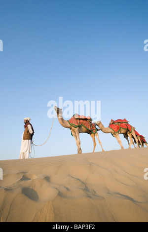 Homme avec des chameaux dans le désert, désert de Thar, Jaisalmer, Rajasthan, India Banque D'Images