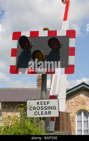 Passage à niveau de détresse et garder Crossing Road Sign claire Banque D'Images