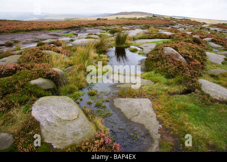 Vue en regardant de Stanage Edge sur haut de Higger Tor dans le Yorkshire du Sud Banque D'Images