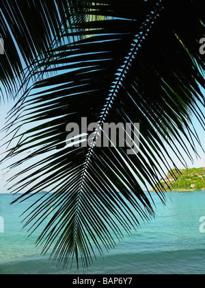 Plage calme avec Sun baigneurs dans les Caraïbes St Barts Banque D'Images