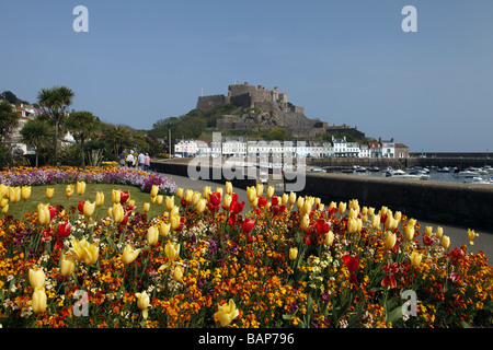 TULIPS & CHÂTEAU MONT ORGUEIL JERSEY CHANNEL ISLANDS UK GOREY JERSEY CHANNEL ISLANDS 20 Avril 2009 Banque D'Images