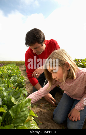 Père et fille tendant les cultures dans un jardin biologique, Ladner, British Columbia, Canada Banque D'Images