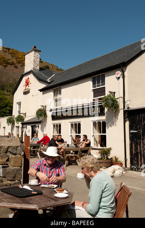 Les gens de boire du café à l'extérieur de l'Harbour Inn pub Solva Pembrokeshire Coast National Park Port Wales UK Banque D'Images