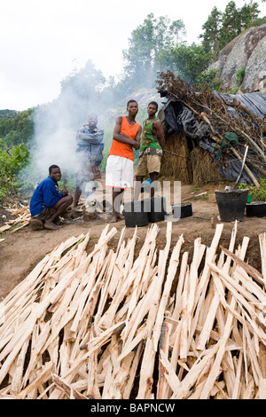 Un camp de bûcherons sur la montagne de Dedza - Dedza, Malawi, Afrique Banque D'Images