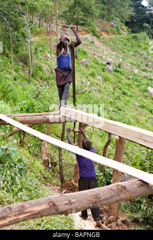 Pit sciant un log sur la montagne de Dedza - Dedza, Malawi, Afrique Banque D'Images