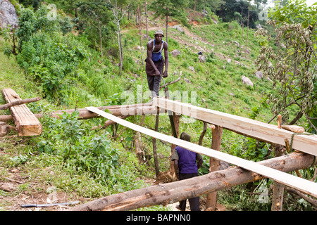 Pit sciant un log sur la montagne de Dedza - Dedza, Malawi, Afrique Banque D'Images