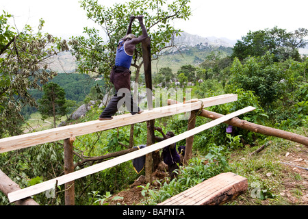 Pit sciant un log sur la montagne de Dedza - Dedza, Malawi, Afrique Banque D'Images