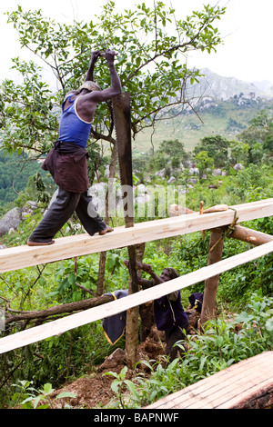 Pit sciant un log sur la montagne de Dedza - Dedza, Malawi, Afrique Banque D'Images