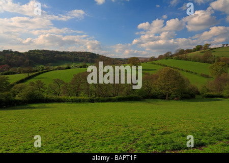 Vue vers Stanage de Hathersage Derbyshire Peak District National Park England UK England UK Banque D'Images