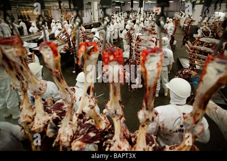 Installation de l'abattoir de l'État du Mato Grosso au Brésil Banque D'Images