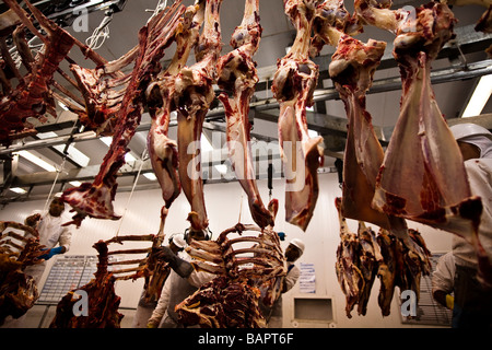 Installation de l'abattoir de l'État du Mato Grosso au Brésil Banque D'Images