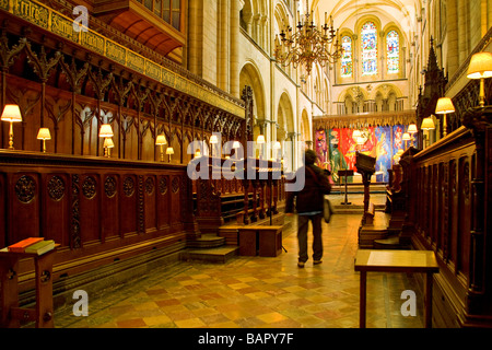 À la recherche d'un visiteur à les stalles du Chœur dans la Cathédrale de Chichester. UK Banque D'Images