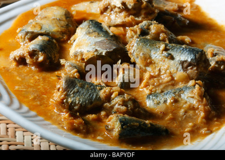 Varutharacha est un curry de poisson style kerala curry de poisson dans lequel le poisson est cuit avec de la pâte de noix de coco frit, sauce tamarin et Indiens Banque D'Images