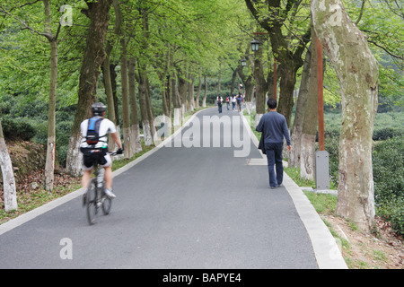 Les gens qui marchent le long de la route à travers des plantations de thé, Longjing, Hangzhou, Chine Banque D'Images