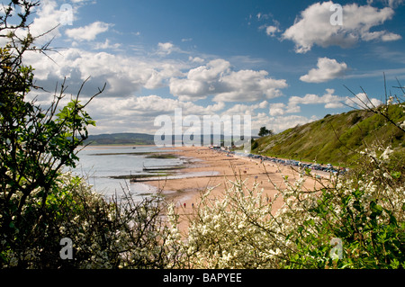 Le long de la plage à Exmouth Au printemps, Devon UK Banque D'Images