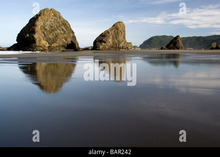 Réflexions de la pile de la mer plage de la rivière pistolet - Gold Beach, Oregon Banque D'Images