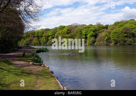 Lac à Yarrow Valley County Park Chorley Banque D'Images