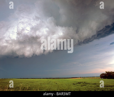 La zone d'afflux d'une supercellule benath tornadiques orage juste avant une tornade formes Banque D'Images