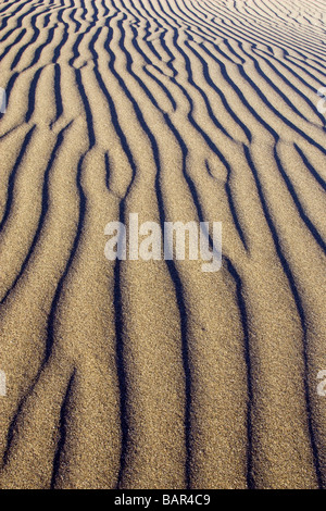 Dunes de sable - Pistolet River State Scenic Viewpoint - Gold Beach, Oregon Banque D'Images