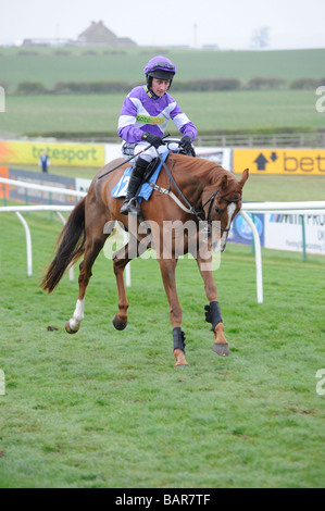 Laissant à cheval paddock Courses UK Sedgefield Banque D'Images