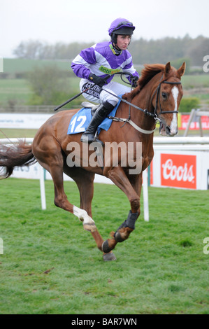 Laissant à cheval paddock Courses UK Sedgefield Banque D'Images