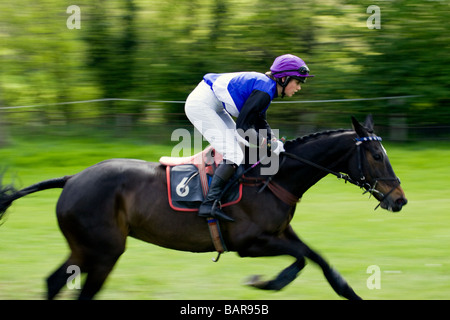 Point à l'autre course à cheval Surrey Godstone Banque D'Images