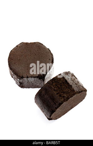 Briquettes de lignite, close-up Banque D'Images